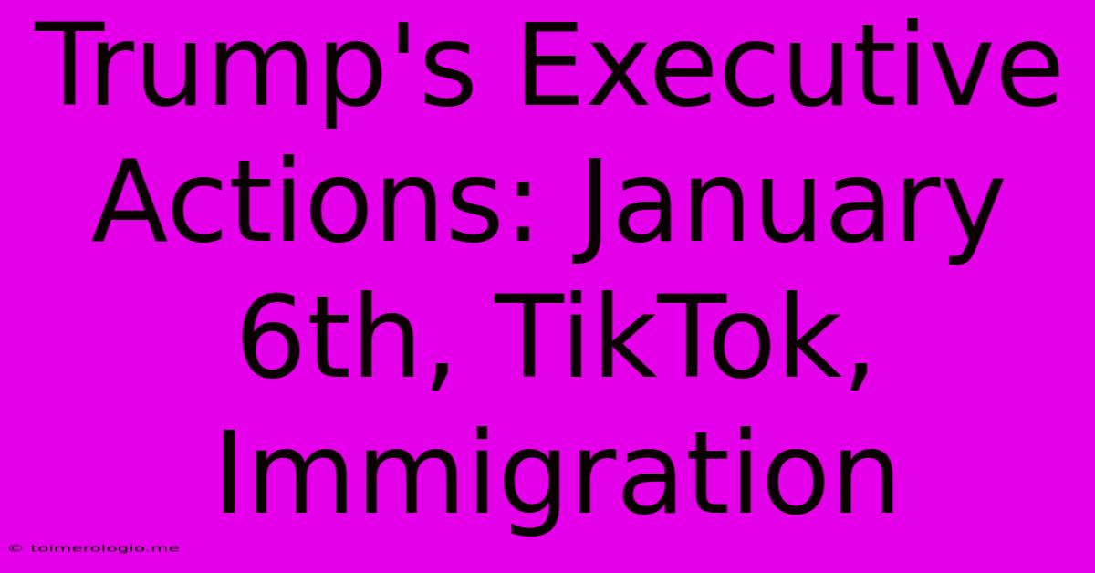 Trump's Executive Actions: January 6th, TikTok, Immigration