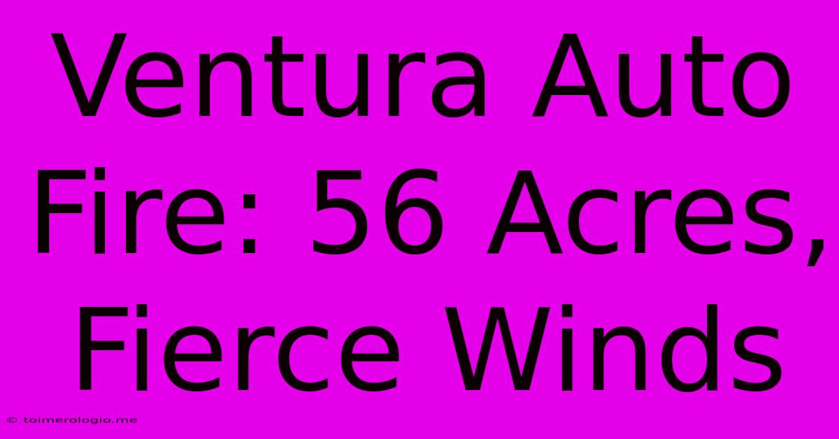 Ventura Auto Fire: 56 Acres, Fierce Winds