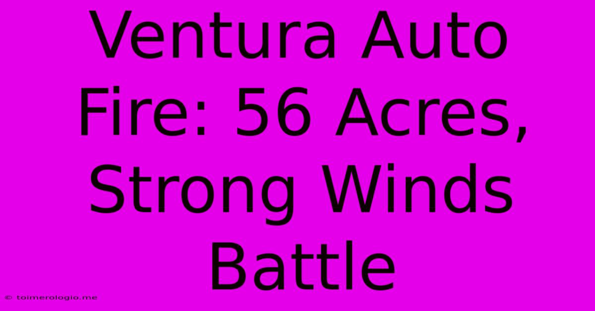 Ventura Auto Fire: 56 Acres, Strong Winds Battle