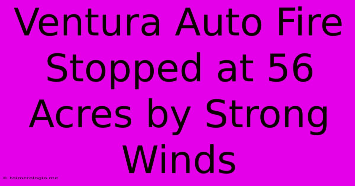 Ventura Auto Fire Stopped At 56 Acres By Strong Winds