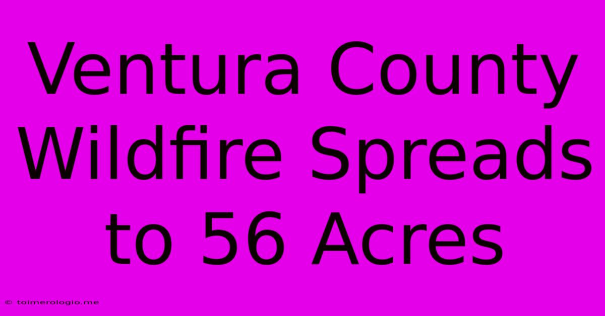 Ventura County Wildfire Spreads To 56 Acres