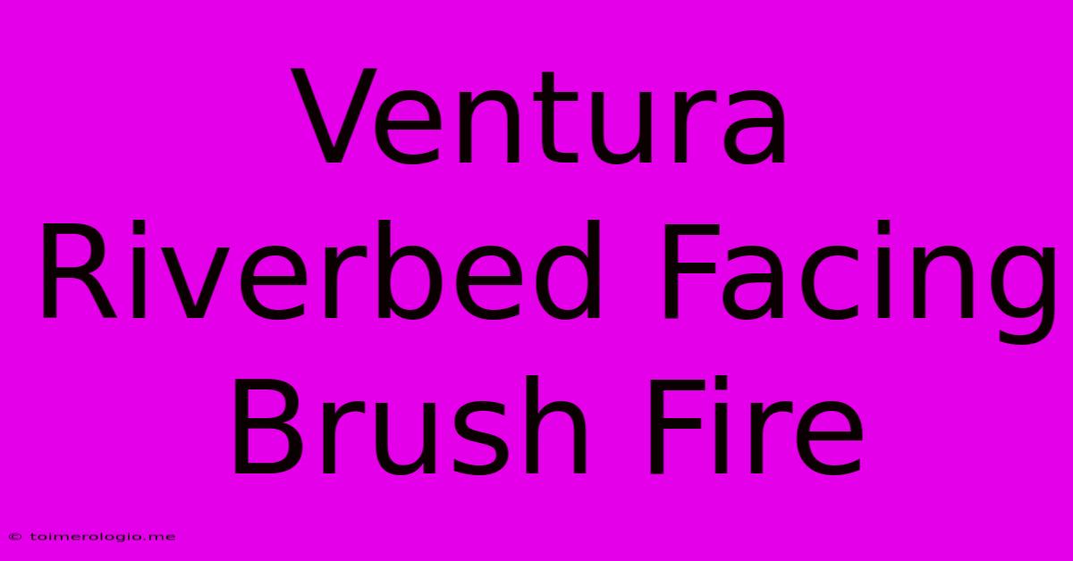 Ventura Riverbed Facing Brush Fire