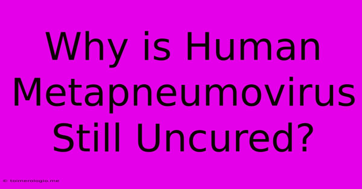 Why Is Human Metapneumovirus Still Uncured?