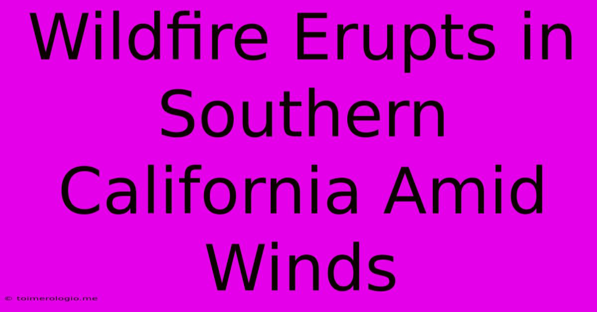 Wildfire Erupts In Southern California Amid Winds