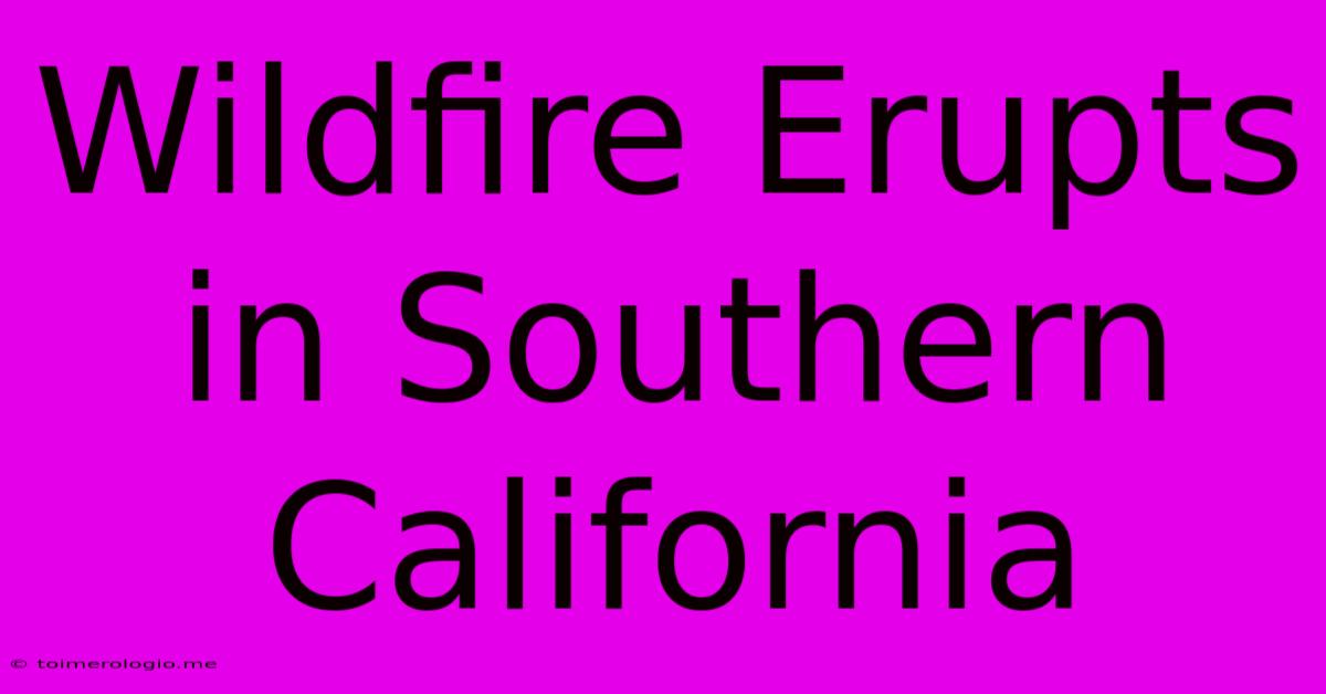 Wildfire Erupts In Southern California