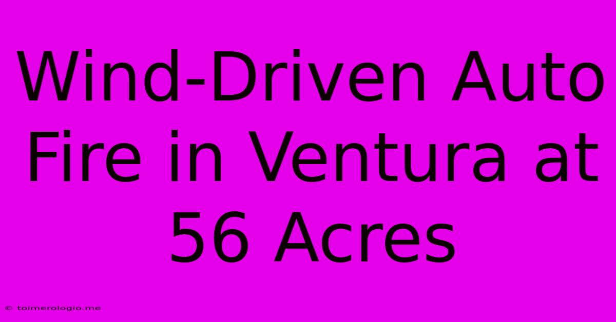 Wind-Driven Auto Fire In Ventura At 56 Acres