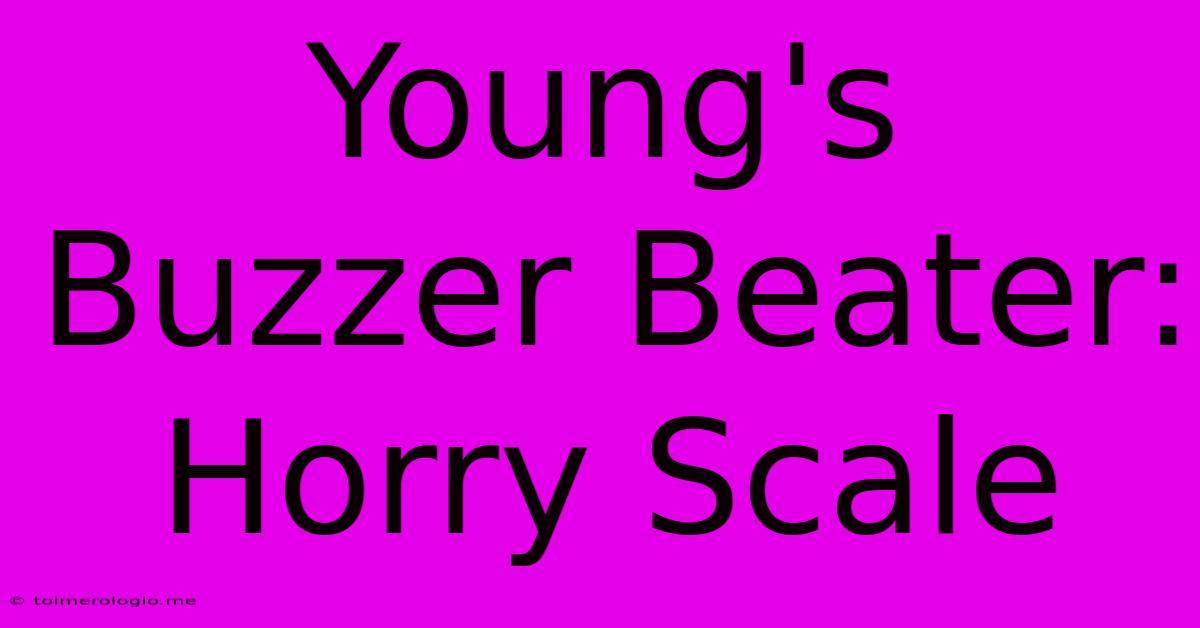 Young's Buzzer Beater: Horry Scale